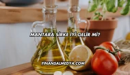 Mantara Sirke İyi Gelir mi?
