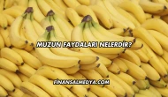 Muzun Faydaları Nelerdir?