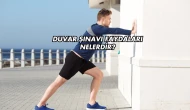 Duvar Şınavı Faydaları Nelerdir?