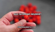 Alıç Faydaları Nelerdir?