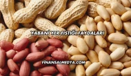 Yabani Yer Fıstığı Faydaları