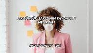 Akgünlük Sakızının Faydaları Nelerdir?