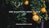 Mide Bulantısına Limon İyi Gelir mi?