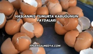 Haşlanmış Yumurta Kabuğunun Faydaları