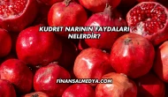 Kudret Narının Faydaları Nelerdir?