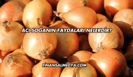 Acı Soğanın Faydaları Nelerdir?