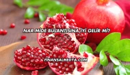Nar Mide Bulantısına İyi Gelir mi?