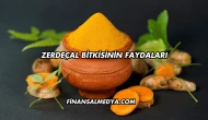 Zerdeçal Bitkisinin Faydaları