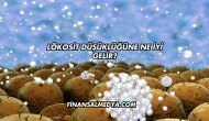 Lökosit Düşüklüğüne Ne İyi Gelir?