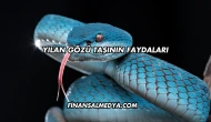 Yılan Gözü Taşının Faydaları