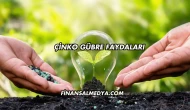 Çinko Gübre Faydaları