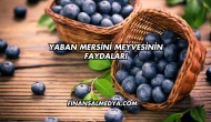 Yaban Mersini Meyvesinin Faydaları