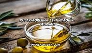 Kulak Ağrısına Zeytinyağı İyi Gelir mi?