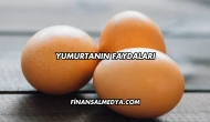 Yumurtanın Faydaları