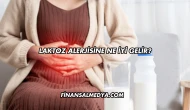 Laktoz Alerjisine Ne İyi Gelir?