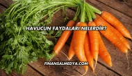 Havucun Faydaları Nelerdir?