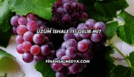 Üzüm İshale İyi Gelir mi?