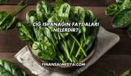 Çiğ Ispanağın Faydaları Nelerdir?