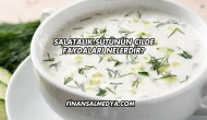 Salatalık Sütünün Cilde Faydaları Nelerdir?