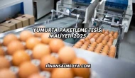 Yumurta Paketleme Tesisi Maliyeti 2025