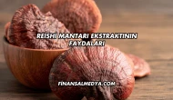 Reishi Mantarı Ekstraktının Faydaları