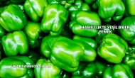 Hamilelikte Yeşil Biber Yemek