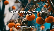 Cennet Hurmasının Faydaları Nelerdir?