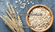 Yulaf Kabızlığa İyi Gelir mi?