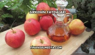 Sirkenin Faydaları