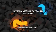 Spermin Vücuda Faydaları Nelerdir?