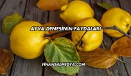 Ayva Denesinin Faydaları