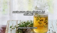 Kekik Suyu Mide Ağrısına İyi Gelir mi?