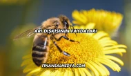 Arı Dışkısının Faydaları