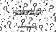 Dondurulmuş Kan Kurdu Faydaları Nelerdir?