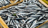 Hamsi Yemenin Faydaları