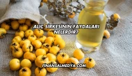 Alıç Sirkesinin Faydaları Nelerdir?