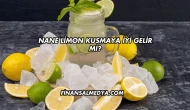 Nane Limon Kusmaya İyi Gelir mi?