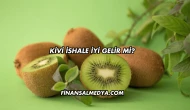 Kivi İshale İyi Gelir mi?