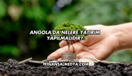 Angola'da Nelere Yatırım Yapılmalıdır?