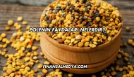 Polenin Faydaları Nelerdir?