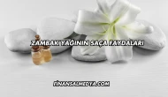 Zambak Yağının Saça Faydaları