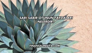 Sarı Sabır Otunun Faydaları Nelerdir?