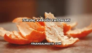 Turunç Kabuğu Faydaları
