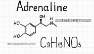 Adrenalin Ne İşe Yarar?