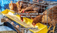 Bir Tavuğun Günlük Yem Maliyeti 2025