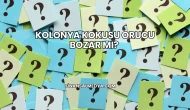 Kolonya Kokusu Orucu Bozar mı?