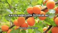 Kayısı Kabızlığa İyi Gelir mi?