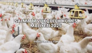 Salma Tavukçuluk Kümes Maliyeti 2025