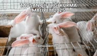 Tavşan Çiftliği Kurma Maliyeti 2025