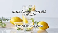 Nane Limon Boğaza İyi Gelir mi?